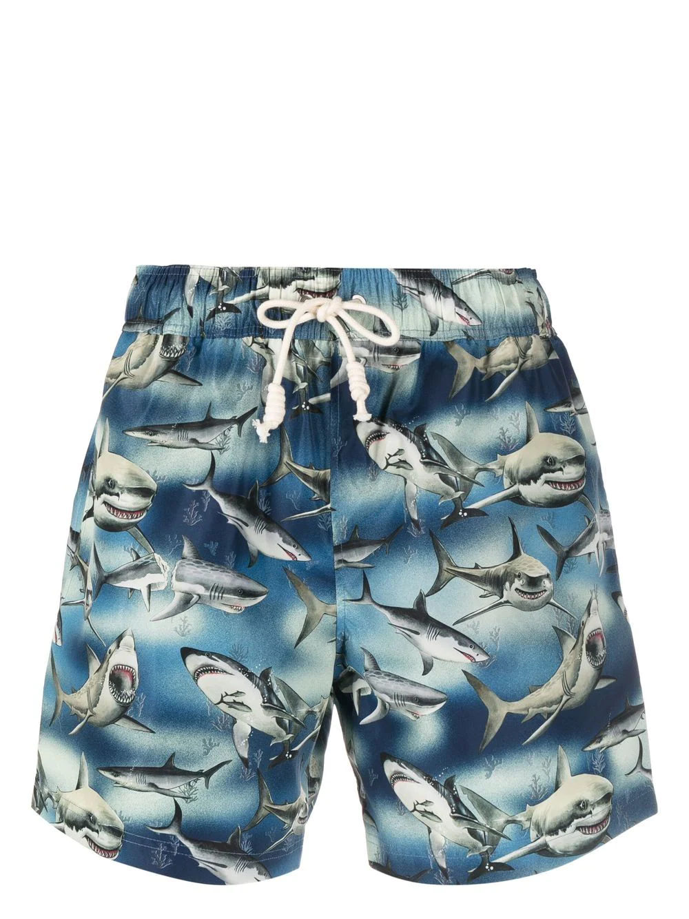 Shop Palm Angels Swimsuit With Sharks Print In Blue